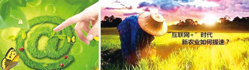 加快&ldquo;物聯(lián)網(wǎng)+農(nóng)業(yè)&rdquo;落地意義深遠(yuǎn)