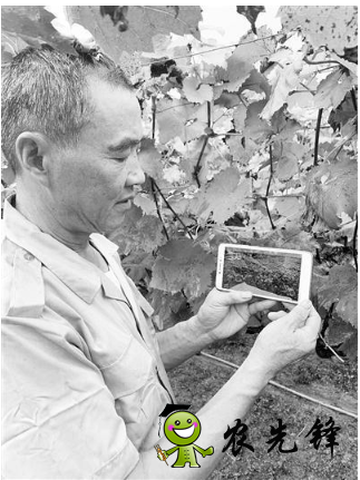 無錫市先行先試加快發(fā)展智慧農業(yè)，已建設農業(yè)物聯(lián)網應用點近400個