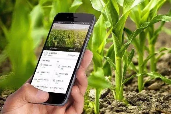 對(duì)不起，我跟著華為，辭職種地了！