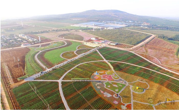 把人工智能應(yīng)用在農(nóng)業(yè)會(huì)碰撞出怎樣的火花