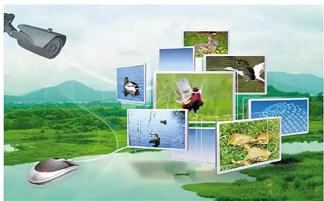 為農(nóng)業(yè)插上翅膀，物聯(lián)網(wǎng)引領(lǐng)下一個(gè)農(nóng)業(yè)時(shí)代！