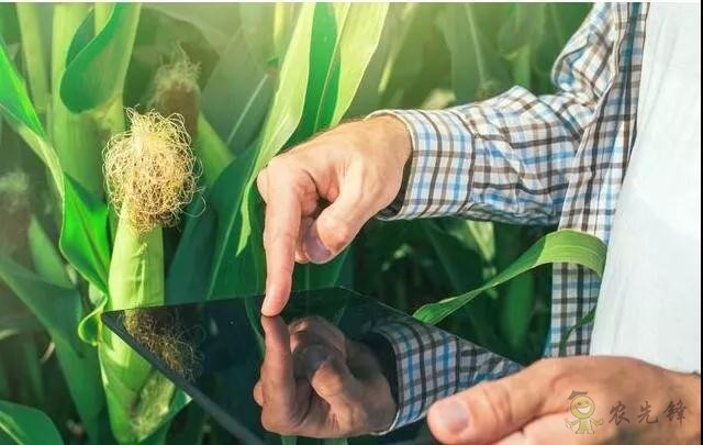 未來農(nóng)業(yè)價值可期！阿里、京東、華為，碧桂園紛紛發(fā)力數(shù)字農(nóng)業(yè)