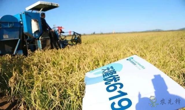 未來農(nóng)業(yè)價值可期！阿里、京東、華為，碧桂園紛紛發(fā)力數(shù)字農(nóng)業(yè)