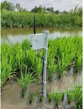 村田助力智慧農(nóng)業(yè)發(fā)展 搶占智慧農(nóng)業(yè)先機 