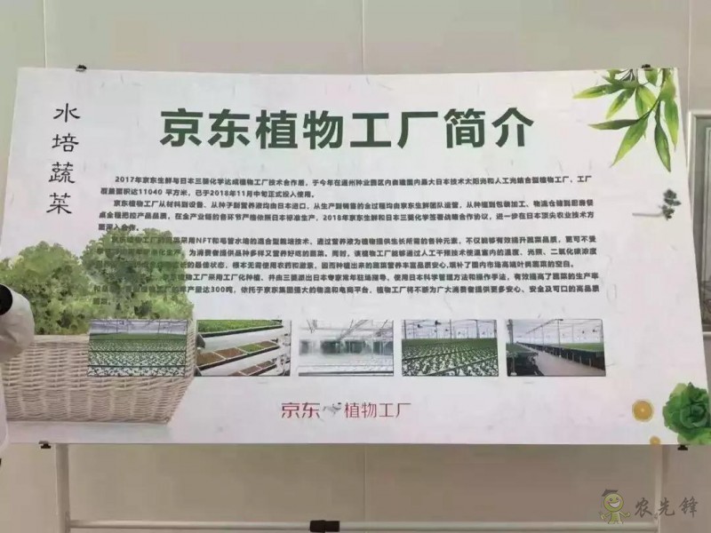 京東的這些&ldquo;網(wǎng)紅&rdquo;農(nóng)業(yè)項目，你都知道嗎？
