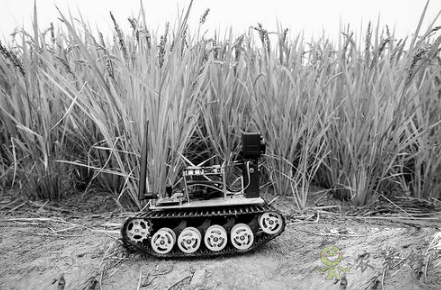 &ldquo;iDror智能農(nóng)業(yè)物聯(lián)網(wǎng)機(jī)器人&ldquo;幫助農(nóng)民解決實(shí)際問題