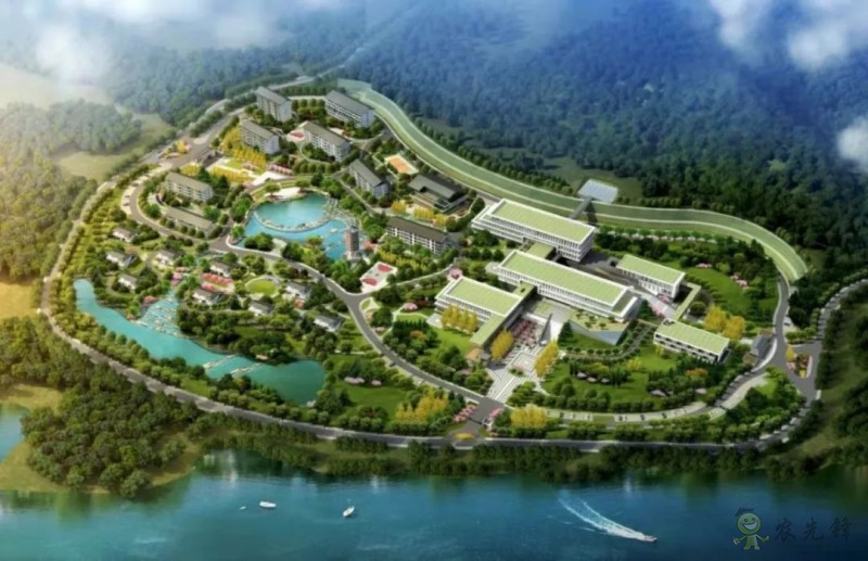 鄧興旺：我為何回國(guó)辦現(xiàn)代農(nóng)學(xué)？