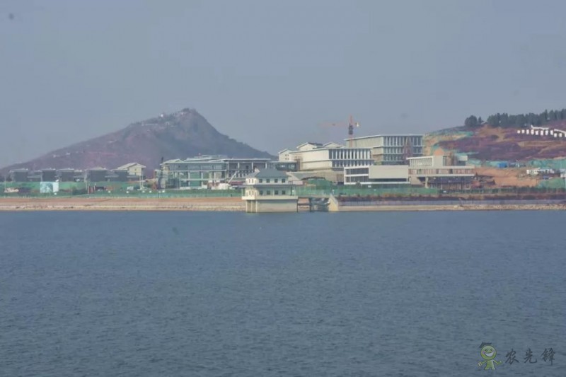 鄧興旺：我為何回國(guó)辦現(xiàn)代農(nóng)學(xué)？