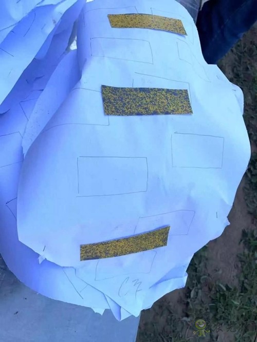 林重意：越南農(nóng)業(yè)植保飛防服務(wù)