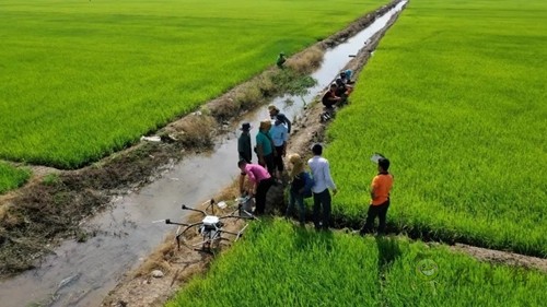 林重意：越南農(nóng)業(yè)植保飛防服務(wù)