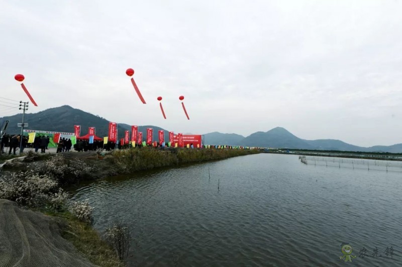 網易味央（三門）現(xiàn)代農業(yè)示范園正式開工！