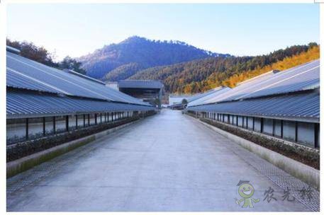 網易味央（三門）現(xiàn)代農業(yè)示范園正式開工！