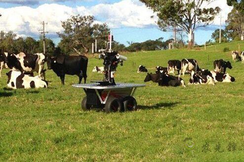 現(xiàn)場機(jī)器人，&ldquo;上的了天 下的了地&rdquo;