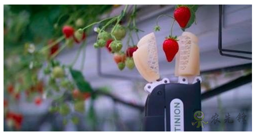 農(nóng)業(yè)機器人崛起會對農(nóng)民帶來負(fù)面影響嗎