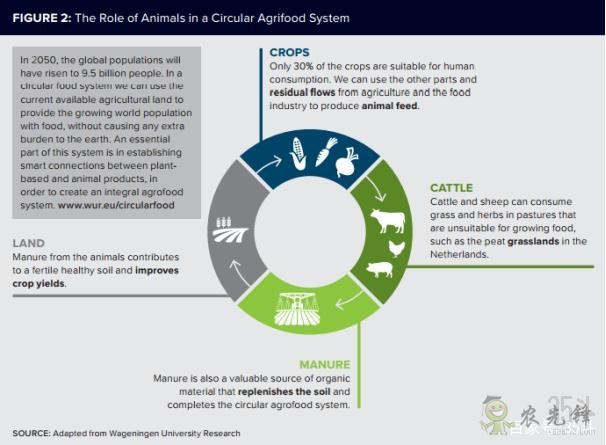 四圖看懂AI在全球農業(yè)中的應用