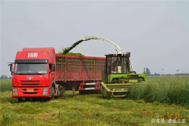 霸氣，江蘇省第一個把農(nóng)業(yè)機器人納入補貼