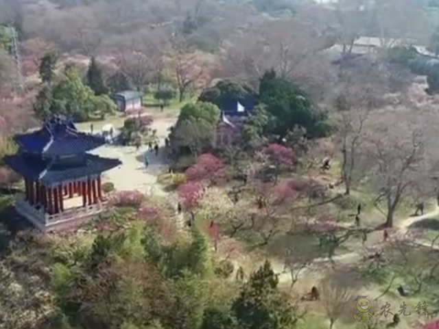 樊祥成：新冠肺炎疫情給農(nóng)業(yè)農(nóng)村發(fā)展帶來(lái)的困難只是暫時(shí)的