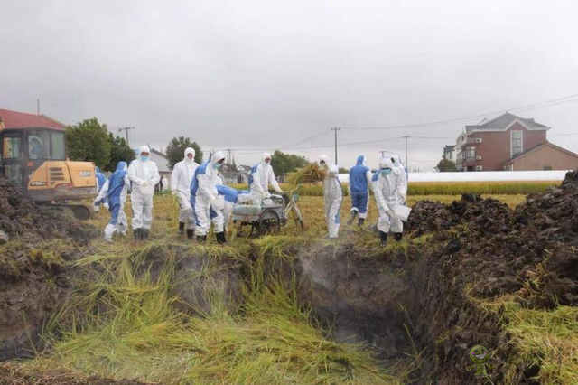 樊祥成：新冠肺炎疫情給農(nóng)業(yè)農(nóng)村發(fā)展帶來(lái)的困難只是暫時(shí)的