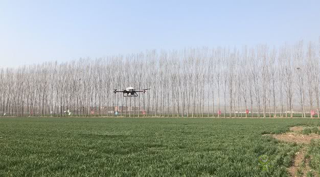 農(nóng)業(yè)機(jī)器人在疫情下的近況