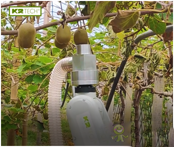 果蔬采收機(jī)器人，農(nóng)業(yè)自動(dòng)化發(fā)展新突破