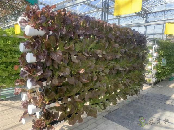 河北省將示范推廣100個農(nóng)業(yè)物聯(lián)網(wǎng)應用試點