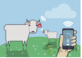 物聯(lián)網(wǎng)應(yīng)用在農(nóng)業(yè)領(lǐng)域中的價值探討