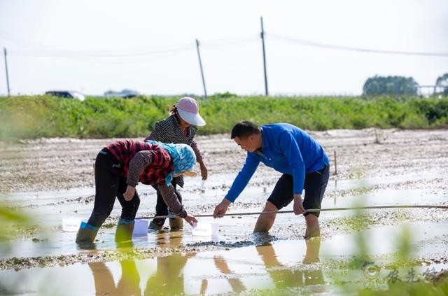 極飛農(nóng)業(yè)無(wú)人機(jī)播種 VS 人工撒種