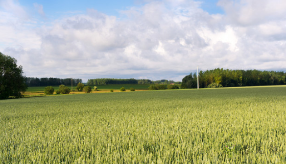 智慧農(nóng)業(yè)駛上&ldquo;快車道&rdquo;還有哪些問題要解決