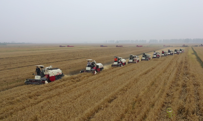 農(nóng)業(yè)農(nóng)村部積極協(xié)調(diào)支持湖北&ldquo;三夏&rdquo;農(nóng)機(jī)作業(yè)