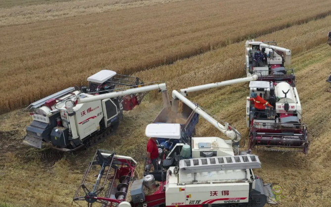 農(nóng)業(yè)農(nóng)村部積極協(xié)調(diào)支持湖北&ldquo;三夏&rdquo;農(nóng)機(jī)作業(yè)