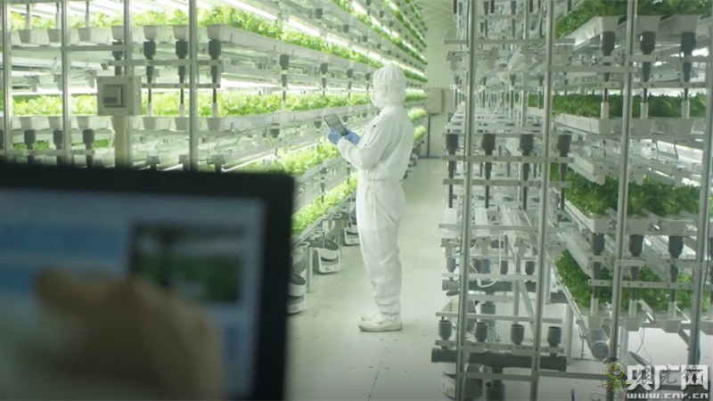 全國政協(xié)委員楊國強(qiáng)：發(fā)展現(xiàn)代農(nóng)業(yè) 打造規(guī)模化無人農(nóng)場(chǎng)