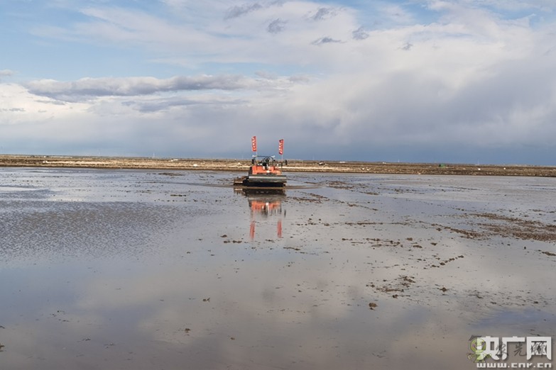 全國政協(xié)委員楊國強(qiáng)：發(fā)展現(xiàn)代農(nóng)業(yè) 打造規(guī)模化無人農(nóng)場(chǎng)