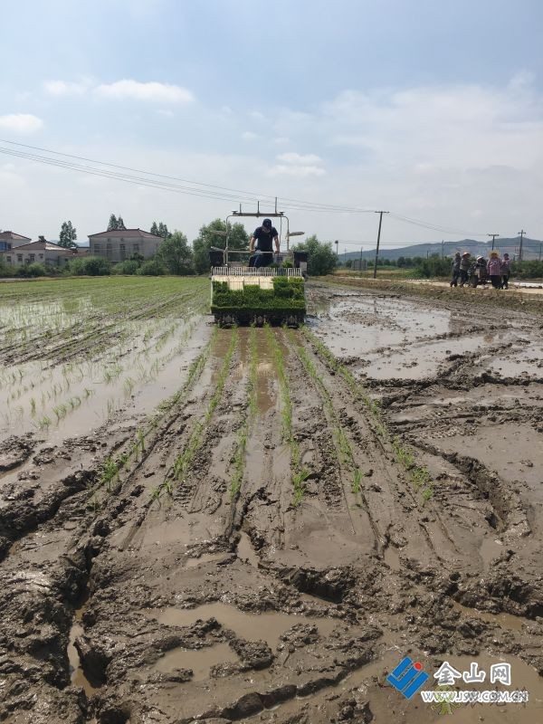 &ldquo;智慧農(nóng)機(jī)&rdquo;助力夏收夏種的交響曲