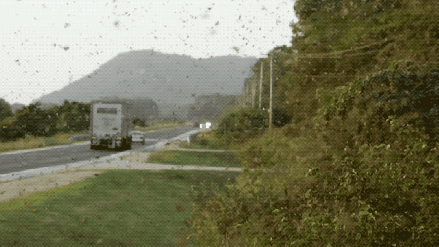 &ldquo;聯(lián)手治蝗&rdquo;巴基斯坦將在農業(yè)中投入更多如無人機等高新技術