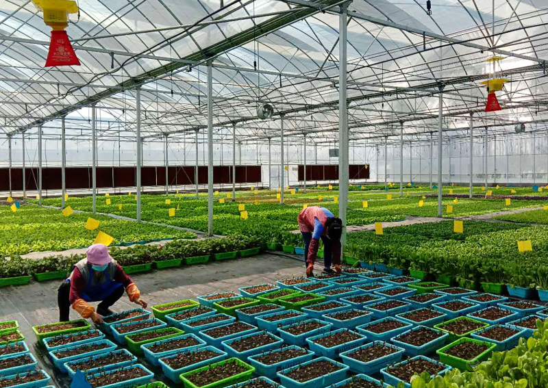 陜西加快構(gòu)建現(xiàn)代農(nóng)業(yè)&ldquo;三大體系&rdquo;