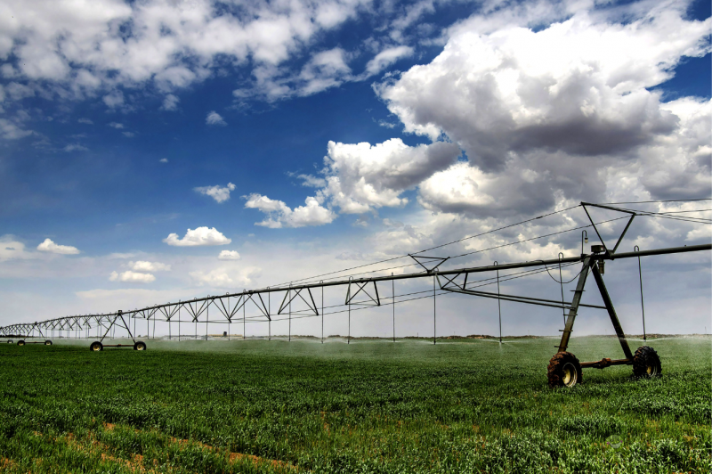 陜西加快構(gòu)建現(xiàn)代農(nóng)業(yè)&ldquo;三大體系&rdquo;