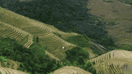 極俠農(nóng)業(yè)遙感無人機