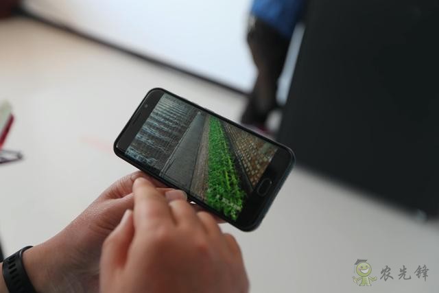 農(nóng)業(yè)擺攤新模式，視頻連線和無人機都用上