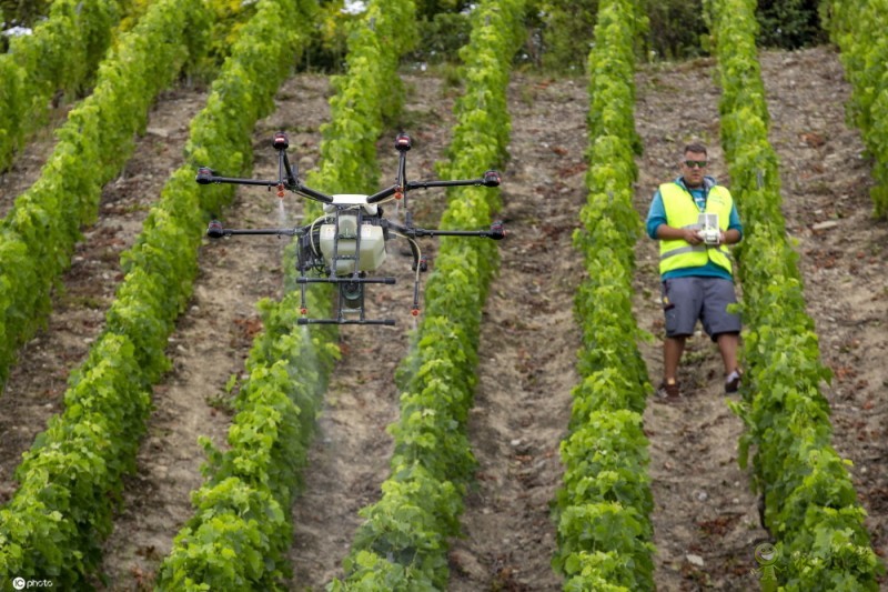 農(nóng)業(yè)無人機用于葡萄園管理