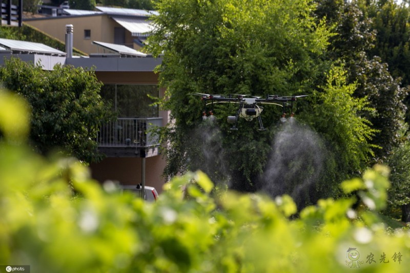 農(nóng)業(yè)無人機用于葡萄園管理