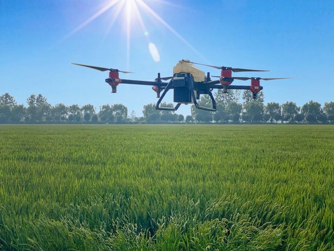 大壙圩農(nóng)場智慧農(nóng)業(yè)的高標(biāo)準(zhǔn)農(nóng)田