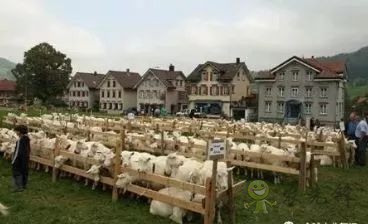 德國(guó)農(nóng)業(yè)