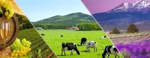 法國農(nóng)業(yè)