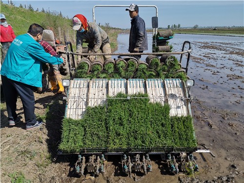 農(nóng)業(yè)設備