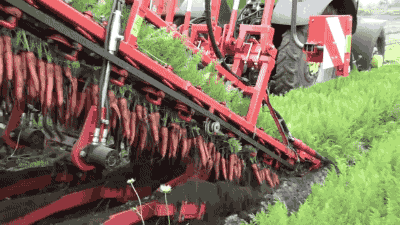 德國農(nóng)業(yè)