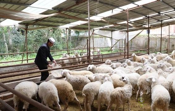 農(nóng)業(yè)扶貧