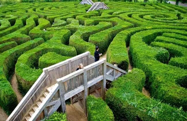 農(nóng)業(yè)模式