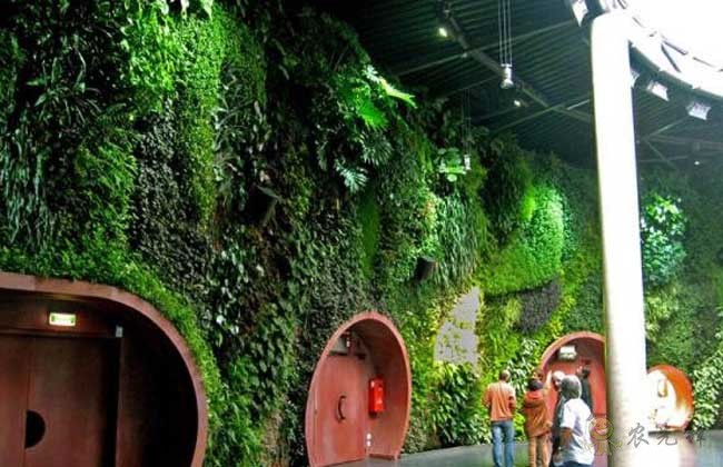 農(nóng)業(yè)模式