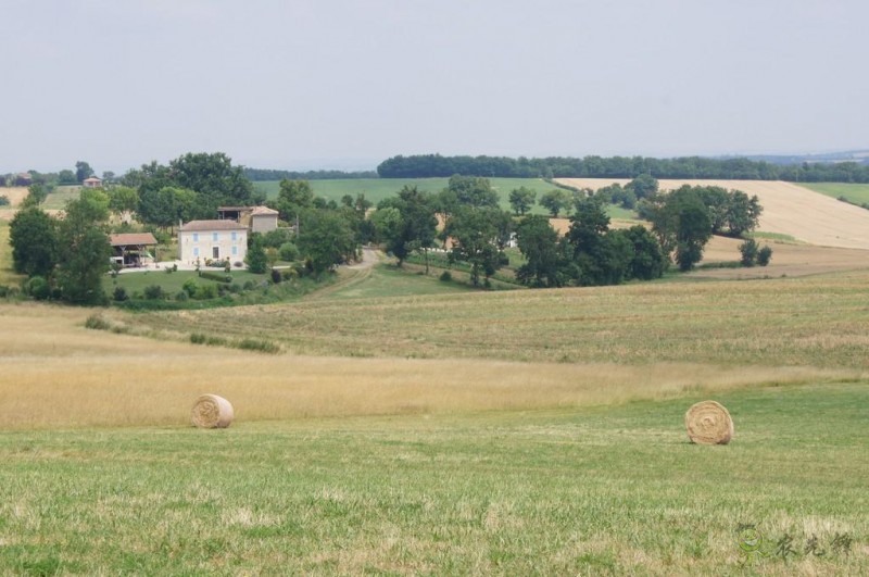 農(nóng)業(yè)模式