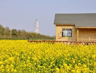 8種最新的農(nóng)業(yè)模式，哪一個(gè)會(huì)成為下一個(gè)“農(nóng)業(yè)風(fēng)口”呢?